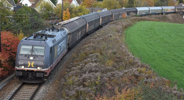 Train on a railway surrounded by houses, bushes and green grass