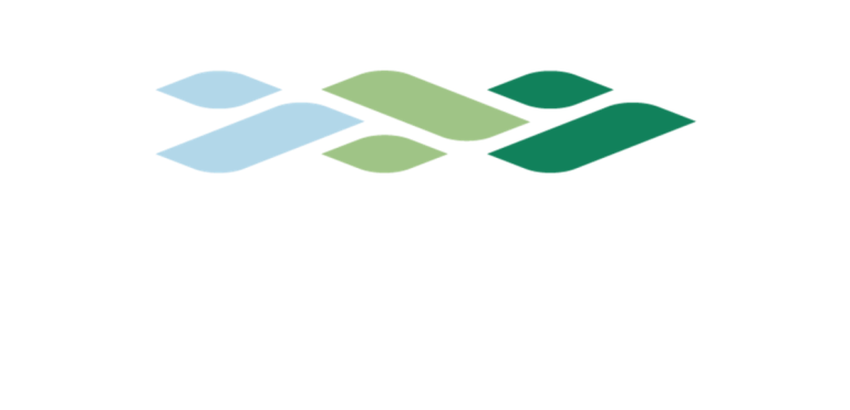 Yeşil denizcilik programı